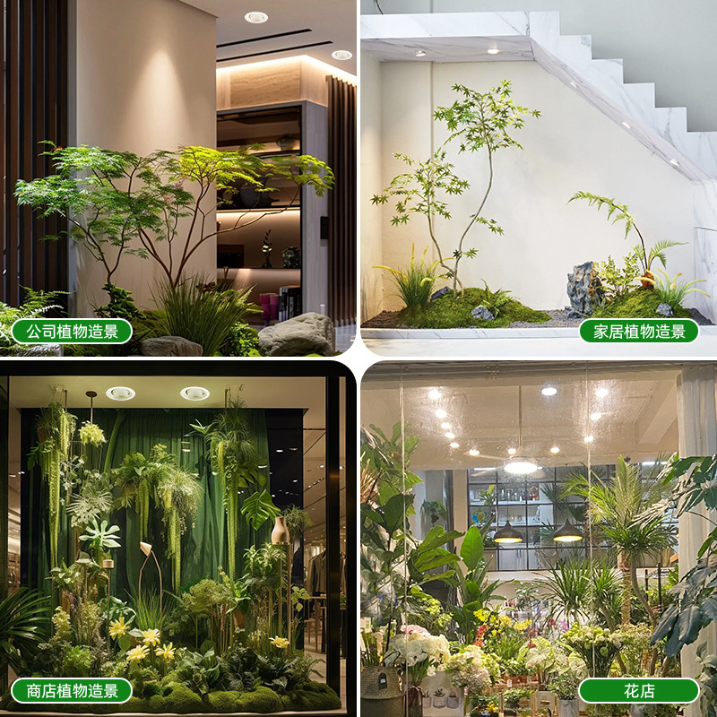 Lampe de culture LED à spectre - Plant Grow Light Full Spectrum avis et prix