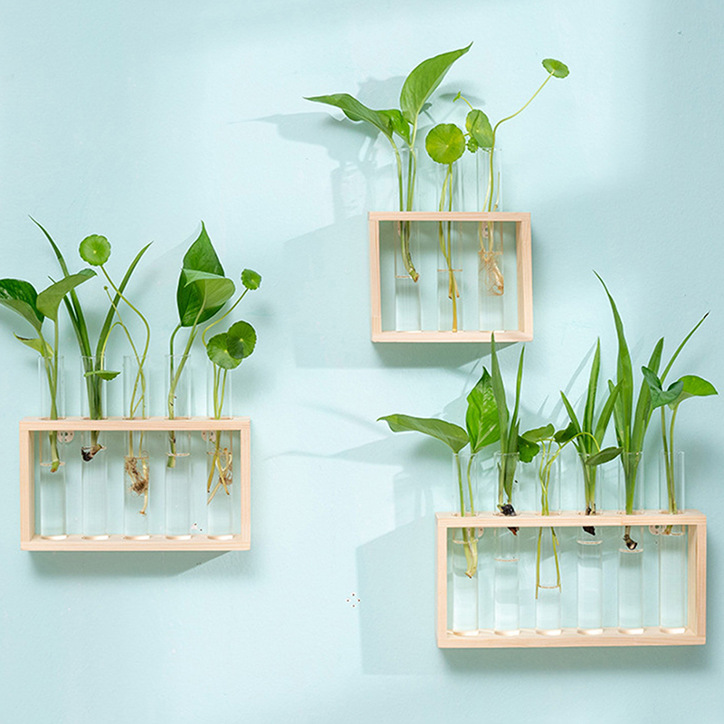 Conteneur de plantes hydroponi - Hydroponic Grow Pod avis et prix