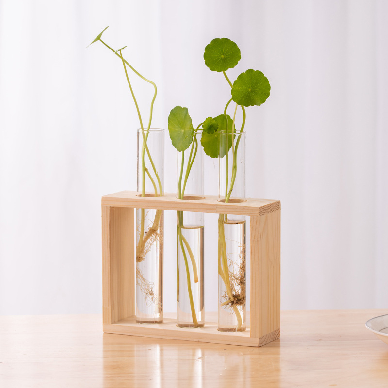Conteneur de plantes hydroponi - Hydroponic Grow Pod avis et prix