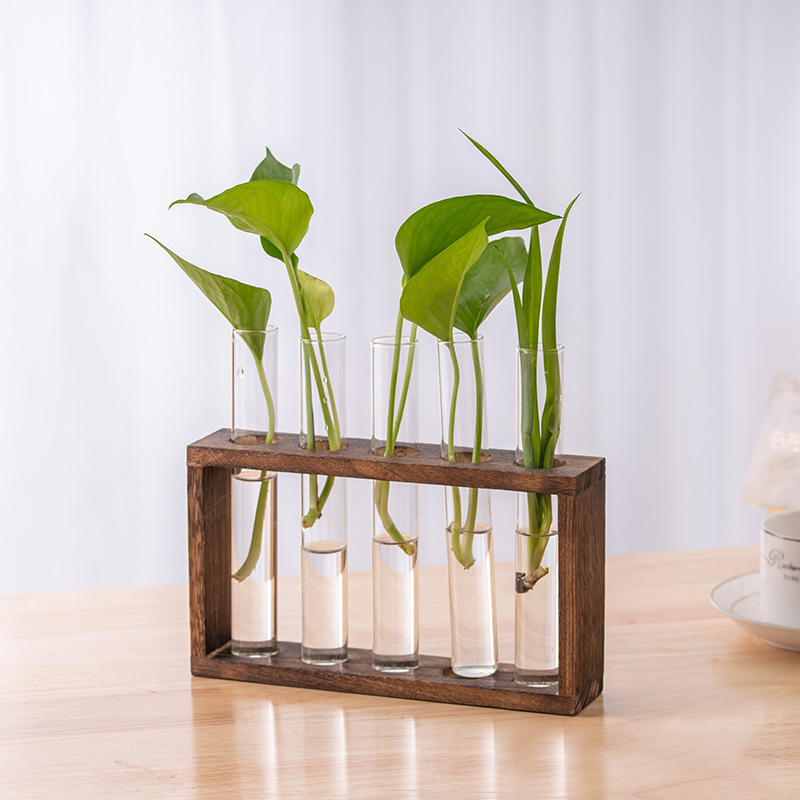 Conteneur de plantes hydroponi - Hydroponic Grow Pod avis et prix